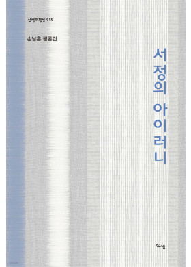손남훈/서정의 아이러니